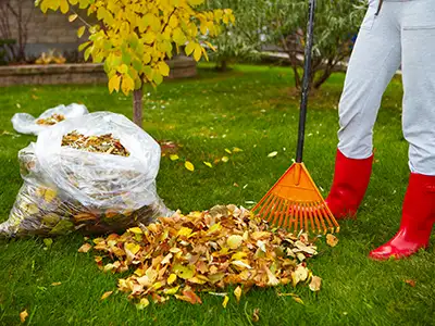Commercial Site Clean Up, Dallas, GA